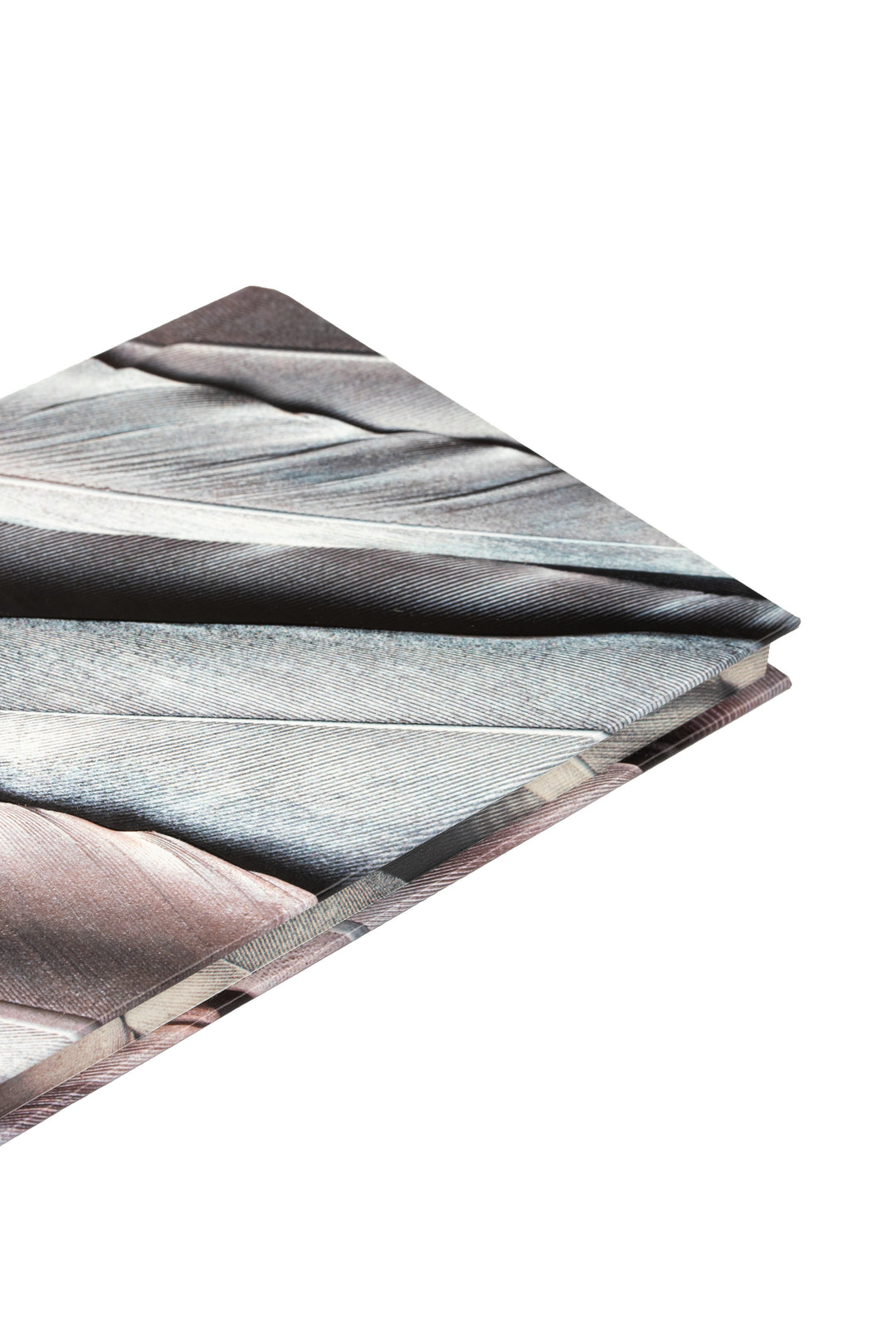 Užrašinė A5 su kietu viršeliu - Sidabrinė gulbė