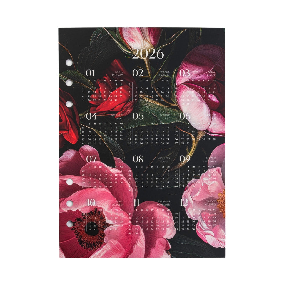 Mėnesio planuoklis + įsegamas kalendorius 2026 - Visatos žiedai