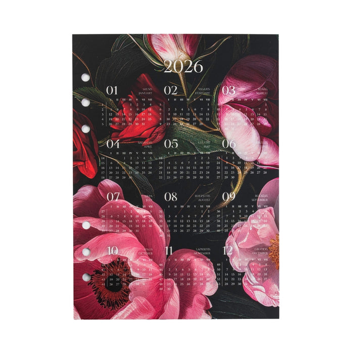 Mėnesio planuoklis + įsegamas kalendorius 2026 - Visatos žiedai