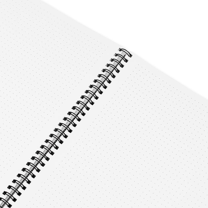 NAUJŲ SPIRALINIŲ VIDUS