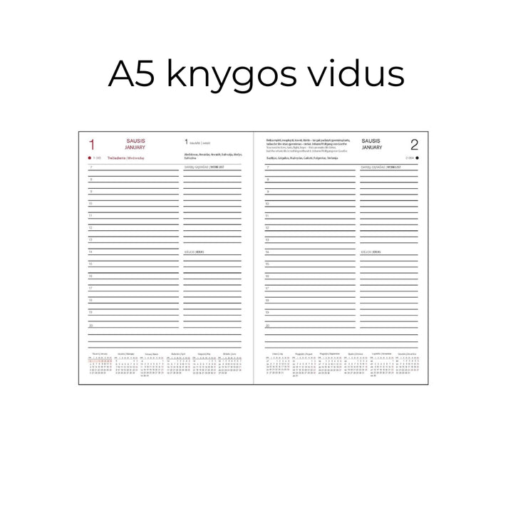 Darbo knyga su kietu eko odos viršeliu - Žemė