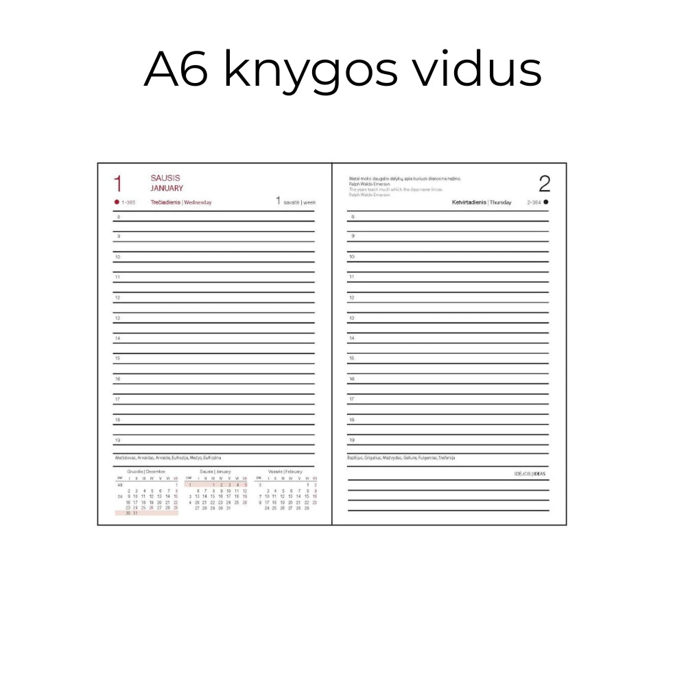 Darbo knyga su kietu eko odos viršeliu - Žemė