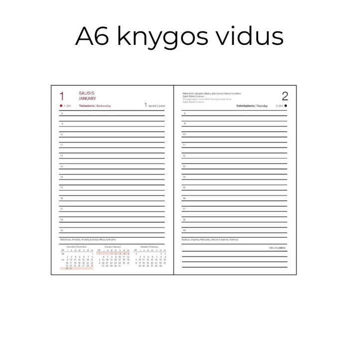 Darbo knyga su kietu eko odos viršeliu - Žemė