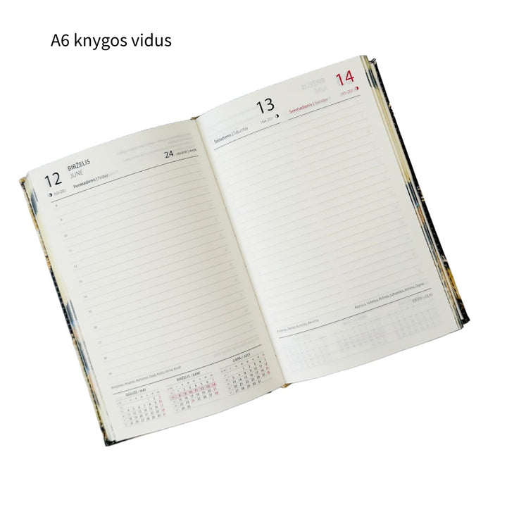 Darbo knyga 2027 su kietu eko odos viršeliu - Mėlyna tyla