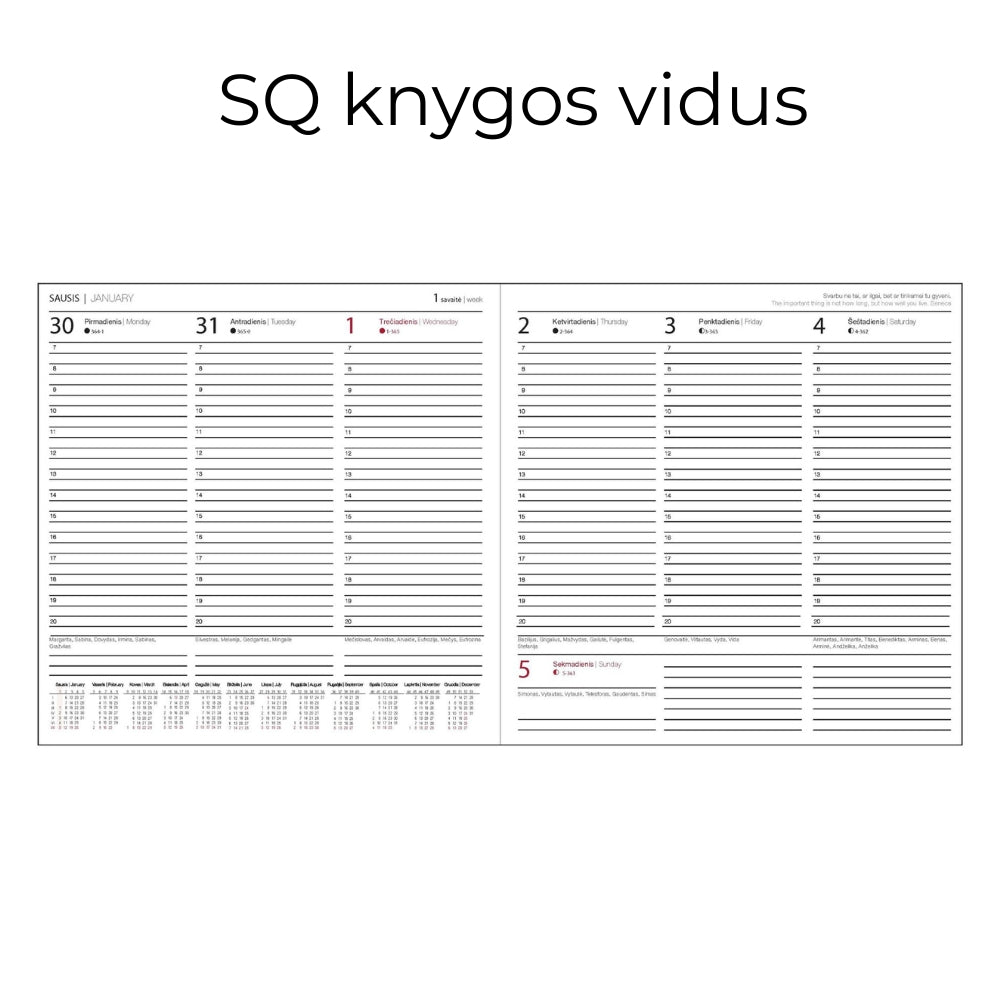 Darbo knyga su kietu eko odos viršeliu - Žemė
