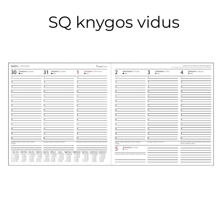 Darbo knyga su kietu eko odos viršeliu - Žemė